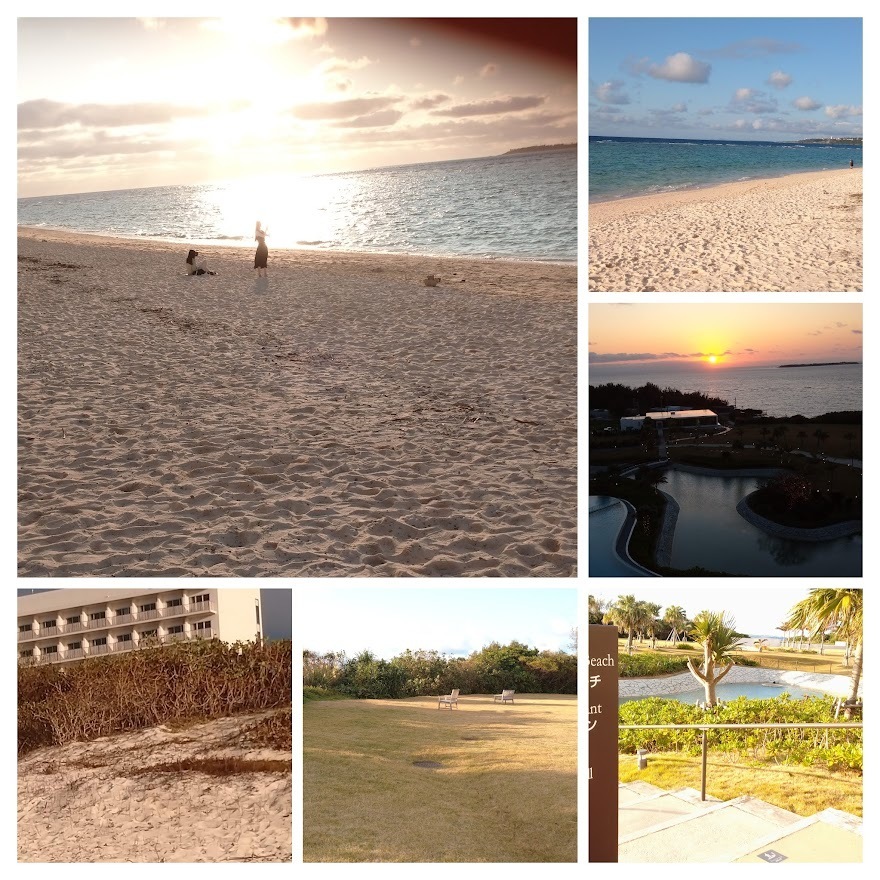 Hilton and Sesoko Beach.jpg
