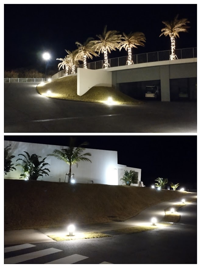 Night walking.jpg